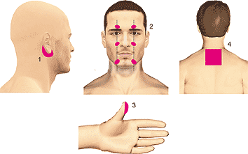 ДиаДЭНС-ПКМ и  Боль в лице (невралгия тройничного нерва)