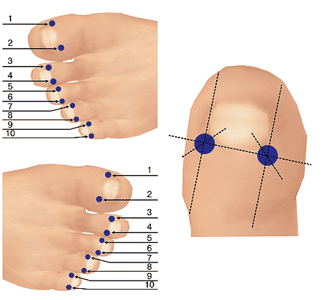 Расположение концевых точек меридианов тыльной поверхности стоп